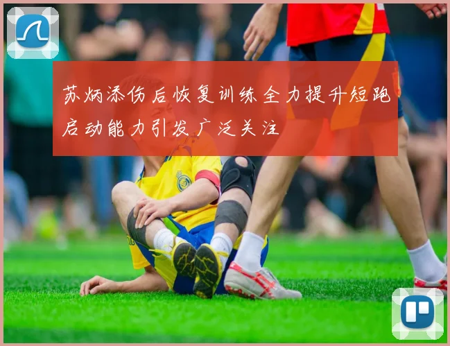 苏炳添伤后恢复训练全力提升短跑启动能力引发广泛关注