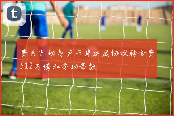 费内巴切与卢卡库达成协议转会费512万镑加浮动条款